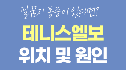 평촌역 도수치료 팔꿈치 테니스엘보 위치 및 원인 이미지